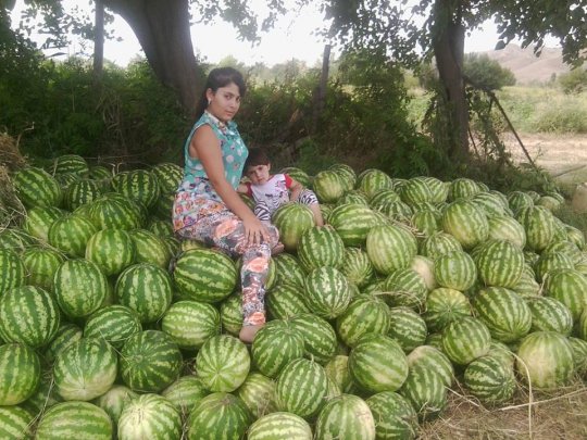 Erməni qızları Azərbaycan qarpızı satır