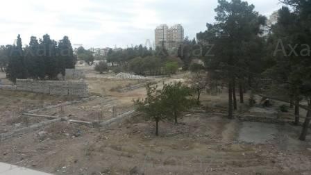 Kinostudiyanı da satırlar