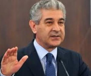 Əli Əhmədov: “İcbari tibbi sığortanın tətbiqində tələsmək olmaz”