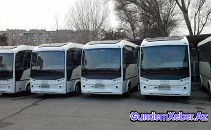 Yeni avtobuslar gətirildi (VİDEO)