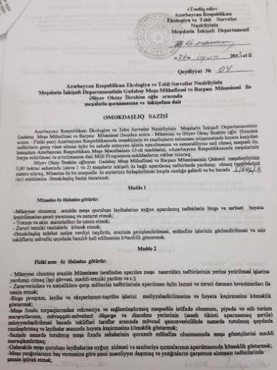 İcra başçısına 150 minlik ittiham