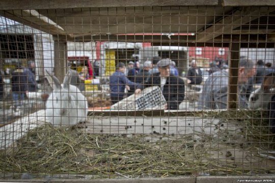 Sabunçuda «Rus bazarı»