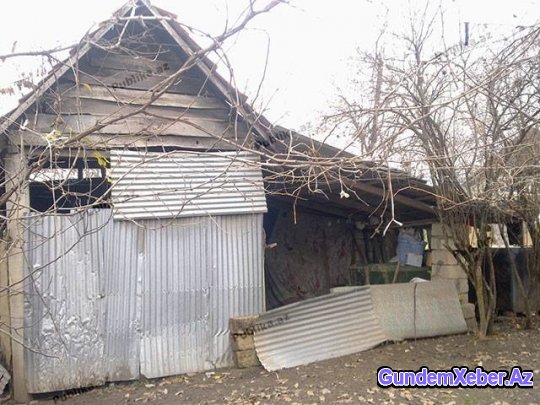 Boğazı kəsilən üçaylıq hamilə qadın – Masallıdakı dəhşətli qətlin TƏFƏRRÜATI
