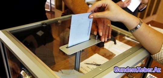 Ən çox seçici fəallığı harada qeydə alınır?