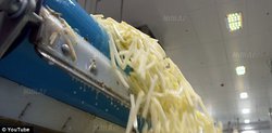 Sensasiyalı araşdırma: McDonald`s-ın kartoflarının tərkibindən xəbəriniz var? - VİDEO - FOTO