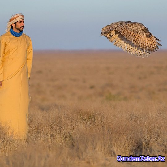 Dubay əmirinin azərbaycanlı gəlini kimdir?