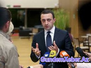 Gürcüstanın baş naziri: "Zoopakdan qaçan bütün heyvanlar tapılıb"