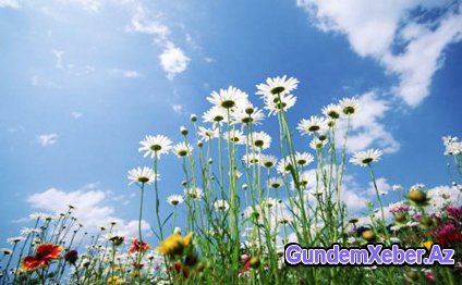 İyunun son günü hava necə olacaq?