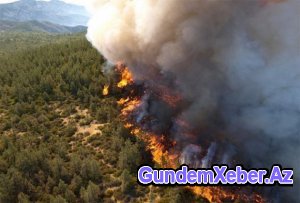 Xızıdakı yanğın artıq meşələrə keçdi