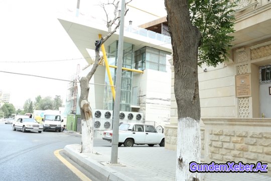 Ziya Məmmədov sakinlərin arzularını ürəklərində qoydu