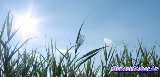 İstirahət günü hava necə olacaq?