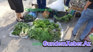Göyçayın mərkəzindəki rəzalət nə vaxta qədər davam edəcək? FOTOLAR