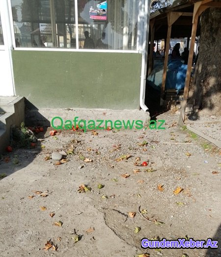 Göyçayın mərkəzindəki rəzalət nə vaxta qədər davam edəcək? FOTOLAR