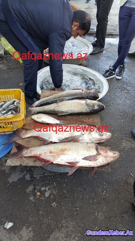 Göyçayın mərkəzindəki rəzalət nə vaxta qədər davam edəcək? FOTOLAR
