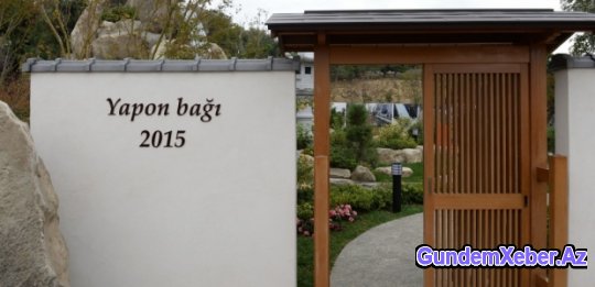 Xətai rayonunda salınmış “Yapon bağı”nın açılışı olub