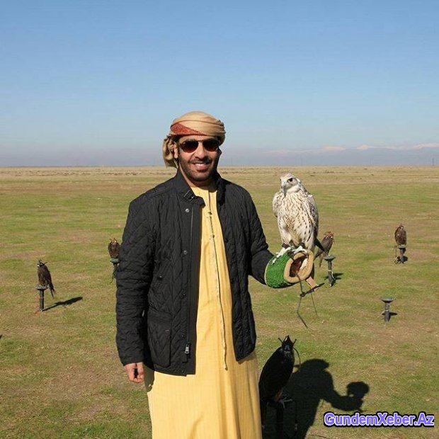 Ərəb şahzadəsi Hacıqabulda belə ov etdi... Ərəb şahzadəsi Hacıqabulda belə ov etdi...
