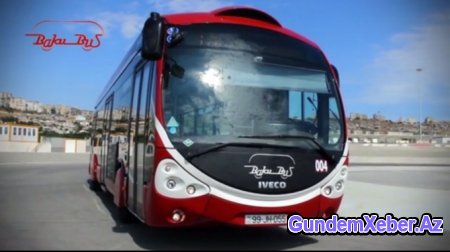 KƏRİMOVLARIN “BAKU BUS”DA AİLƏ BİZNESİ