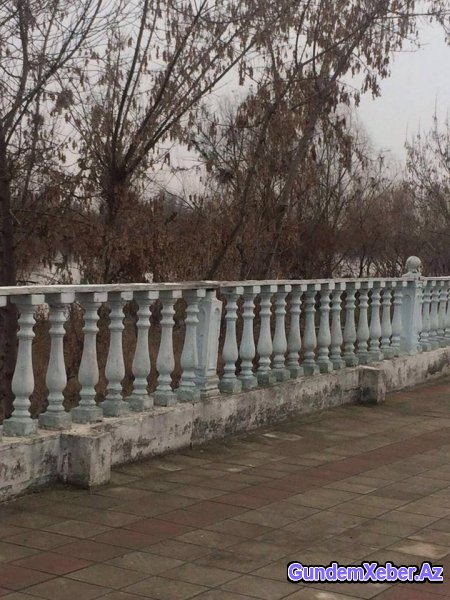 Heydər Parkını hansı icra başçısı satışa çıxarıb?