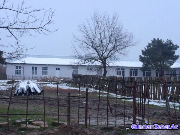 Heydər Parkını hansı icra başçısı satışa çıxarıb?