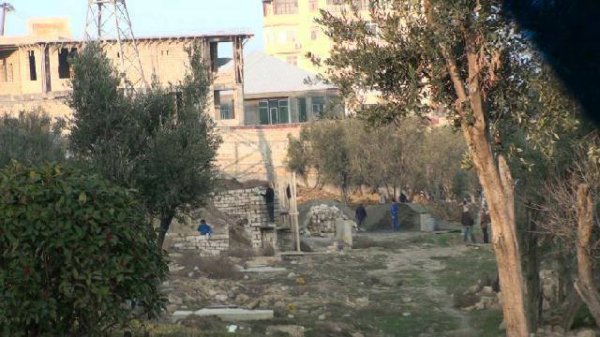 Xaləddin İsgəndərov  Heydər məscidinin ətrafındakı zeytun bağlarına qənim kəsilib
