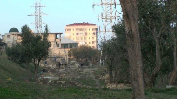 Xaləddin İsgəndərov  Heydər məscidinin ətrafındakı zeytun bağlarına qənim kəsilib