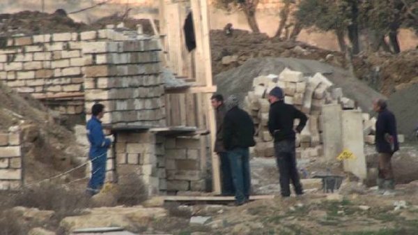 Xaləddin İsgəndərov  Heydər məscidinin ətrafındakı zeytun bağlarına qənim kəsilib