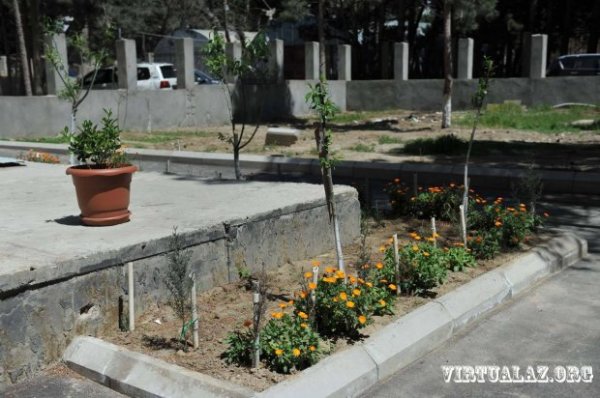 Eldar Mahmudovun ölkədən didərgin saldığı biznesmen qayıtdı, ağacları qırmağa başladı