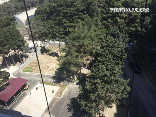 Eldar Mahmudovun ölkədən didərgin saldığı biznesmen qayıtdı, ağacları qırmağa başladı