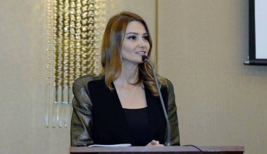 Qənirə Paşayevadan Milli Məclisdə çağırış: "Bu problemi həll edin"!