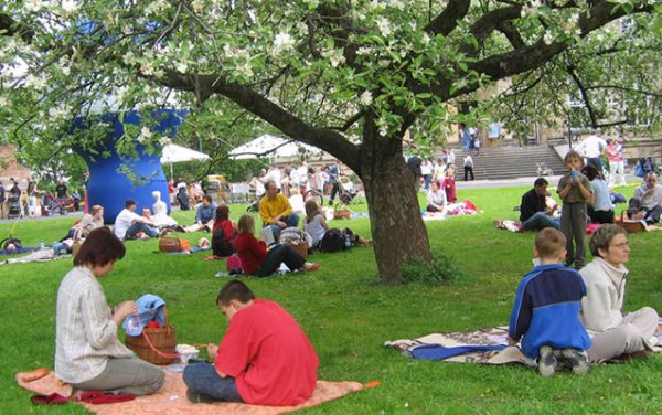 Hacıbala Abutalıbov park çəmənliklərdə oturmağı qadağan etdi- QƏRAR