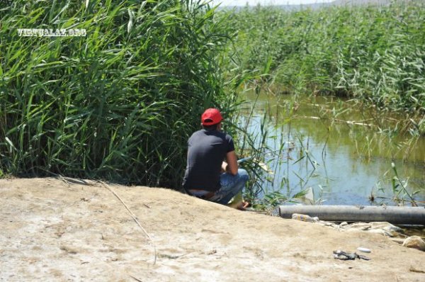 Bakının zəhər gölü: “Binə” və “Sədərək” təhlükə altında...