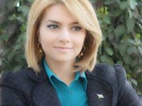 Korrupsioner yaşlılar getməlidir, yerlərinə.... - Tamilla Qulaminin yazısı