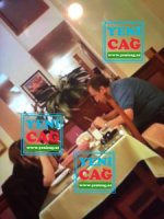 Vergi generalı hələ də öz kefindədir - Vidadi Məmmədov Bakıda restoran bağlatdırdı