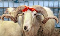 4 gün iş olmayacaq - Qurban bayramı