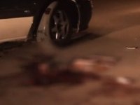 Sürücü 24 yaşlı piyadanı vurub qaçdı