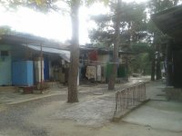 Dövlət Dəniz Administrasiyasında Qüdrət Qurbanovun “toskı”sı