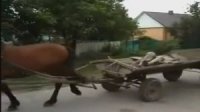 Qubada gənc oğlan at arabasının altında qaldı