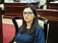 Sevinc Fətəliyeva: "Uşaqların internetdən istifadəsi ilə bağlı sərhədlər qoyulmalıdır"