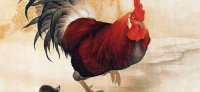 Xoruz ili hansı zodiak illəri üçün düşərli olacaq?