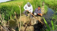 Kəndlilərə bildiriş gəlib: ' Torpağı ək, yoxsa…'