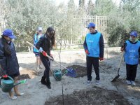Heydər Əliyev Fondunun vitse-prezidenti Leyla Əliyevanın təşəbbüsü ilə “Məktəb bağları” layihəsinə başlanılıb