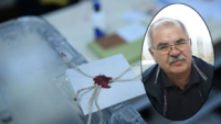 Türkiyədə referendumda faciə: CHP-li nəzarətçi öldü