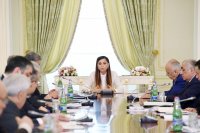 Birinci vitse-prezident Mehriban Əliyeva: "Biz son illər artıq Azərbaycanın standartlarını yaratmışıq"