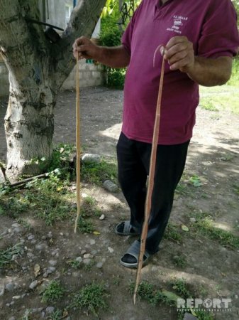 Ağdamda ilanlar evlərə hücum edib – FOTO