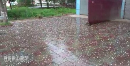 Lənkərana dolu yağdı - FOTO