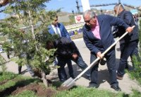 Daşkəsəndə may ayının 10-da Ulu öndər Heydər Əliyevin anadan olmasının 94-cü ildönümü münasibətilə ümumrayon ağacəkmə iməciliyi keçirilmişdir