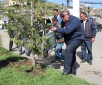 Daşkəsəndə may ayının 10-da Ulu öndər Heydər Əliyevin anadan olmasının 94-cü ildönümü münasibətilə ümumrayon ağacəkmə iməciliyi keçirilmişdir