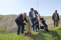Daşkəsəndə may ayının 10-da Ulu öndər Heydər Əliyevin anadan olmasının 94-cü ildönümü münasibətilə ümumrayon ağacəkmə iməciliyi keçirilmişdir
