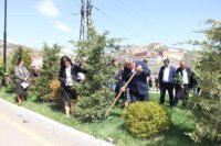 Daşkəsəndə may ayının 10-da Ulu öndər Heydər Əliyevin anadan olmasının 94-cü ildönümü münasibətilə ümumrayon ağacəkmə iməciliyi keçirilmişdir