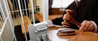 İş adamının arvadının məhkəməsində şok faktlar